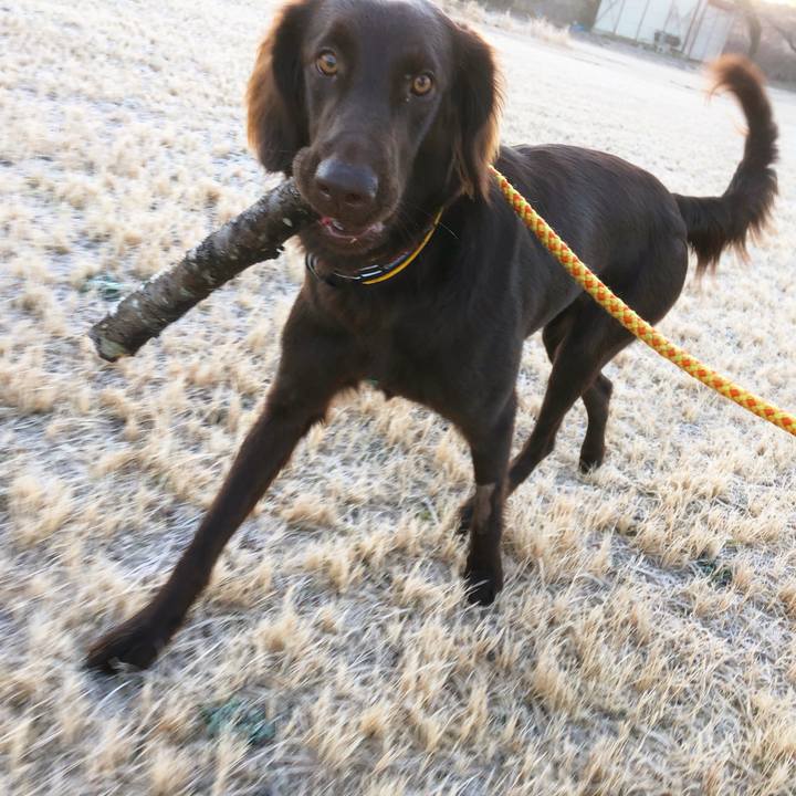 C0440fe4 275c 4d90 9c54 3d061aa9f756 1580860338127