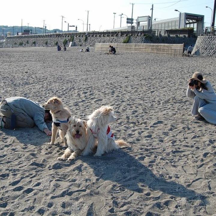 C04418aa 1ebb 4abc b90b 9f06f552bb00 1536311999305