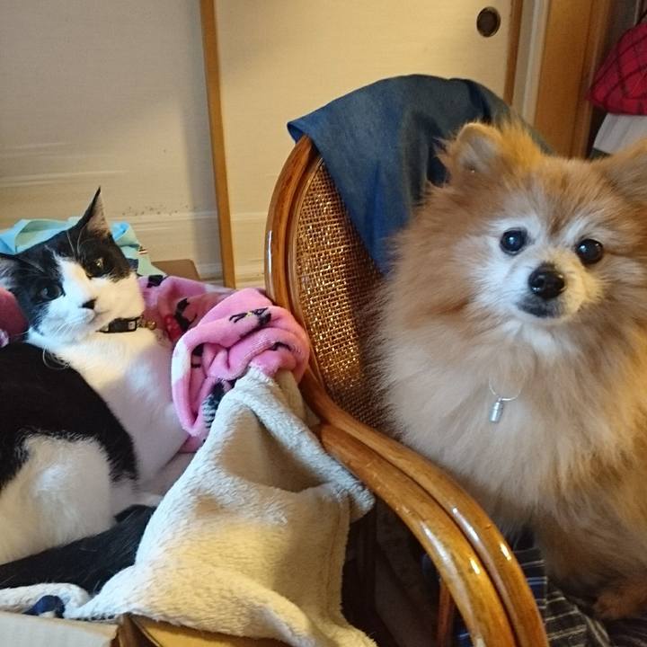 C044195c d8a7 4d88 abb2 a5802c6fe31f 1525332974210