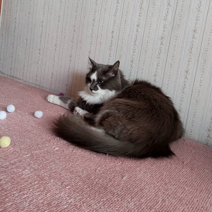 C0444e04 1844 4afd 9a4a 31673c7e1930 1664686691145