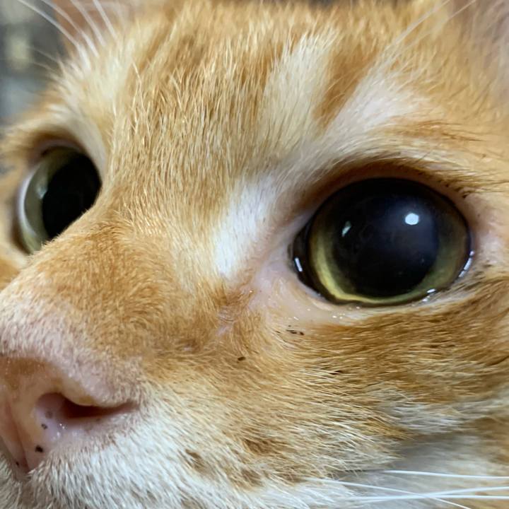 C0446bc2 617d 4dec a73f 7a0fd23fba0c 1634041055595