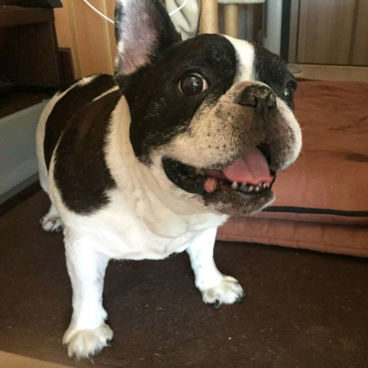 C0447727 4634 4cda bb80 c11aa2a5d54a 1518923349833