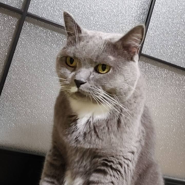 C04479ad 8b19 4e2a 90ae b44d6c393b96 1630415234136