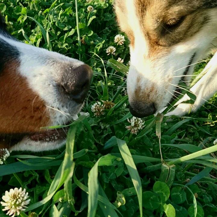 C0447a70 709b 4f2a bebe 52f4cc0e0de0 1524643366223