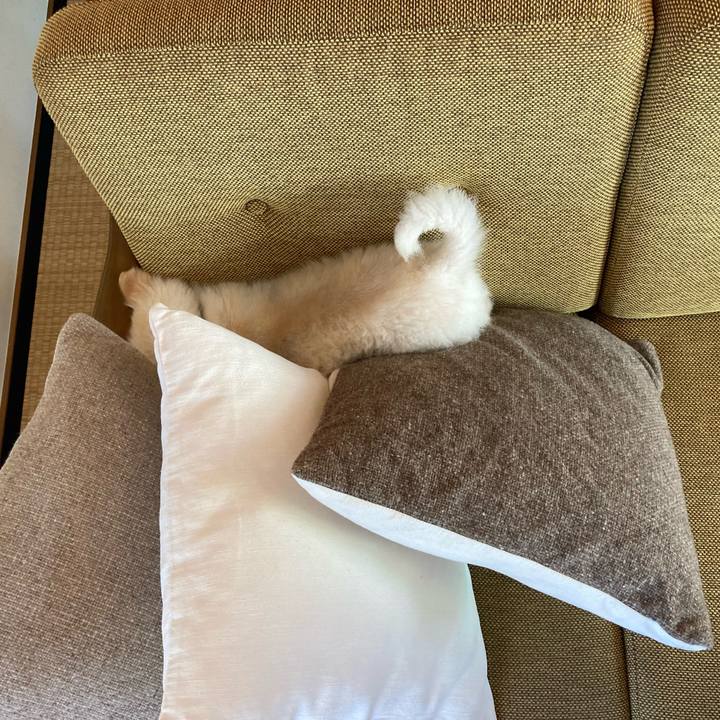 C0448157 c227 45b2 8f94 01d825d10c27 1630111928345