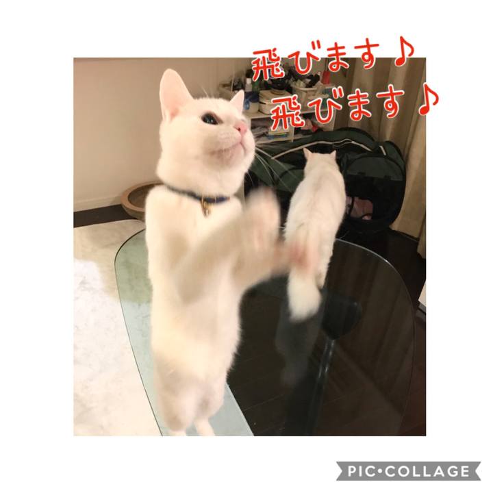 C044cfc0 ddfd 4dd4 9b2a fb3e60a0d83a 1578481603952