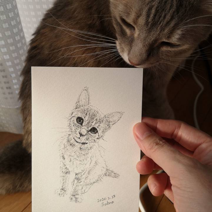 C0452017 4f44 4b3e b846 6f30efa85527 1582531158000