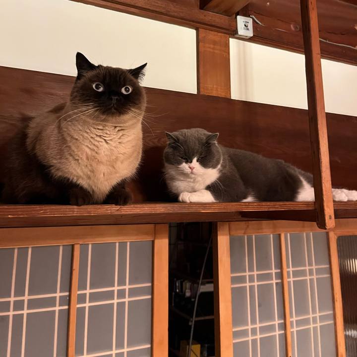 C04529b9 62ea 4227 bf97 5af122ee3145 1734007112015