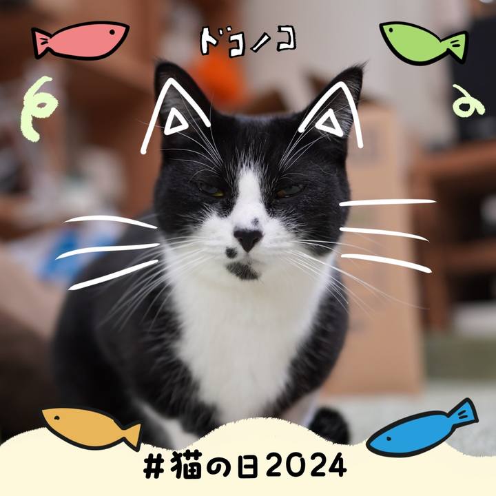 C04533ca cf9d 43d3 b6cd 2e91d68ada28 1708557189591