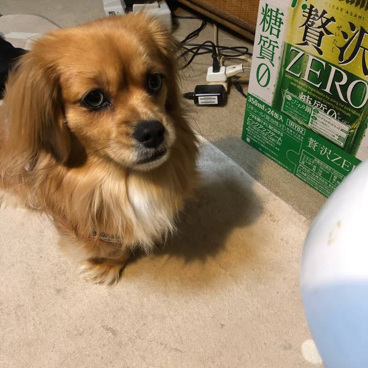 C0453e2e dad6 4dc5 b1ab 00ceee661cff 1548799600302