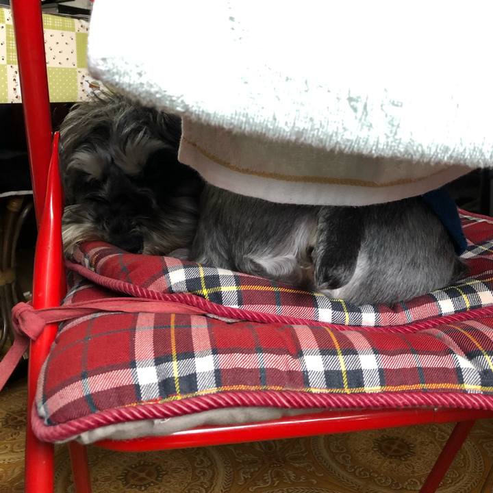 C0454294 cdf6 48b7 90d6 6bdef2cc3833 1557134009802