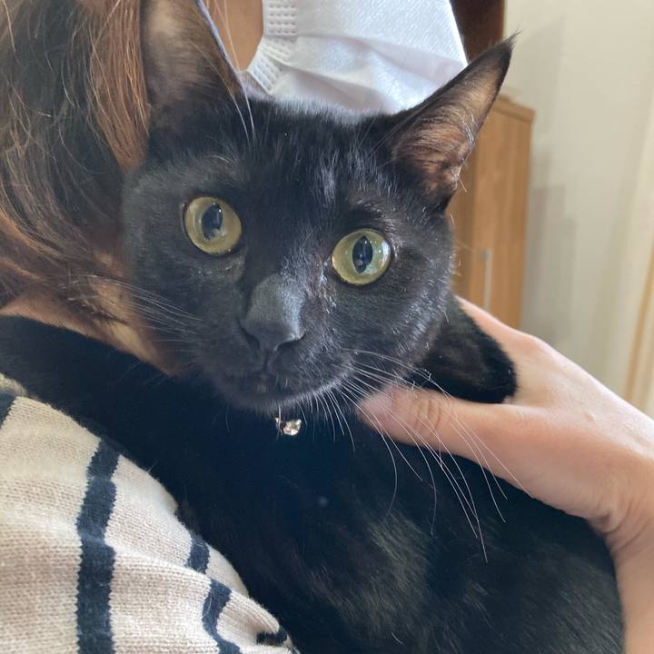 C0454ce9 7b25 4703 bf9b 2aafdcfd7292 1647657798521