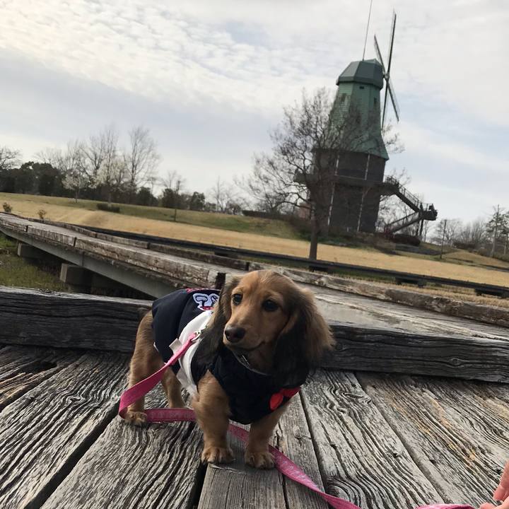 C0454dc8 c482 45bf 9507 ef8975849981 1616132527660