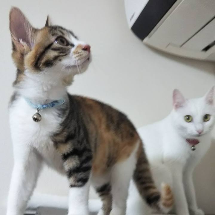 C0457f89 aa0d 4f58 882d ca5be652a1b1 1628711009511