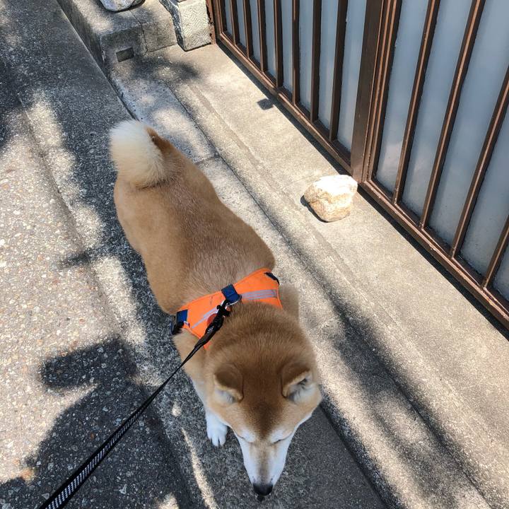 C0458d22 5e06 4fc2 8ef8 62718044c351 1559818608792