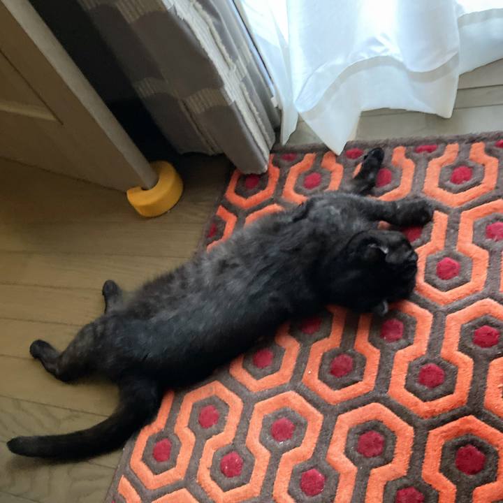 C045ba2b 426b 43a5 b5c6 d93072ea1af1 1591923583137