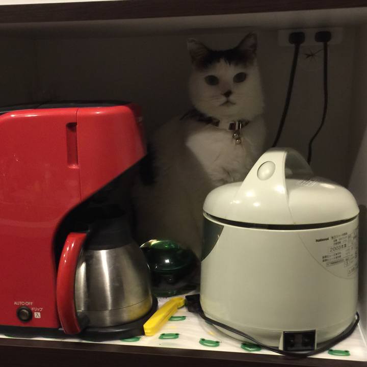 C045dfe6 8912 4ba5 925a 878e5748d3c9 1512652476137