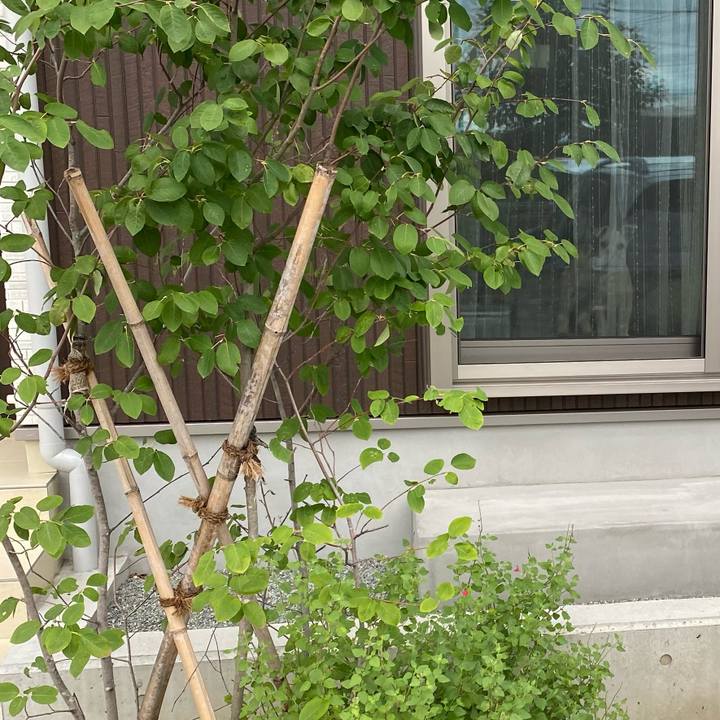 C04626bb 7489 4463 9e13 bf11443e34f9 1631968166126