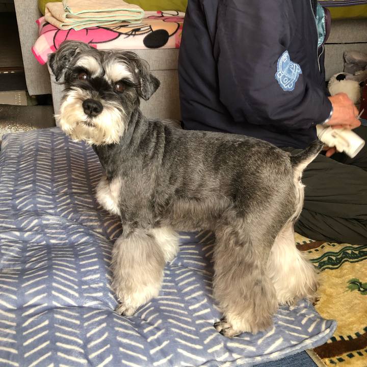 C0467176 fc19 430b 8980 bddbaabe0804 1673165296682