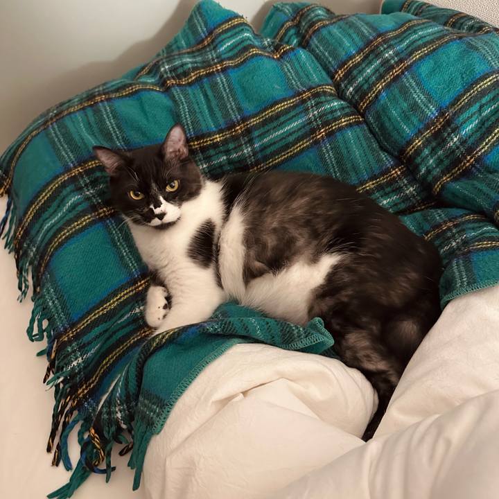 C046cb09 ea31 48ac a8fa 579992cdb851 1776312387017