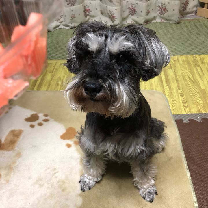 C046d83b 6077 42dd b5f2 b4cdbcac1d00 1559134591087