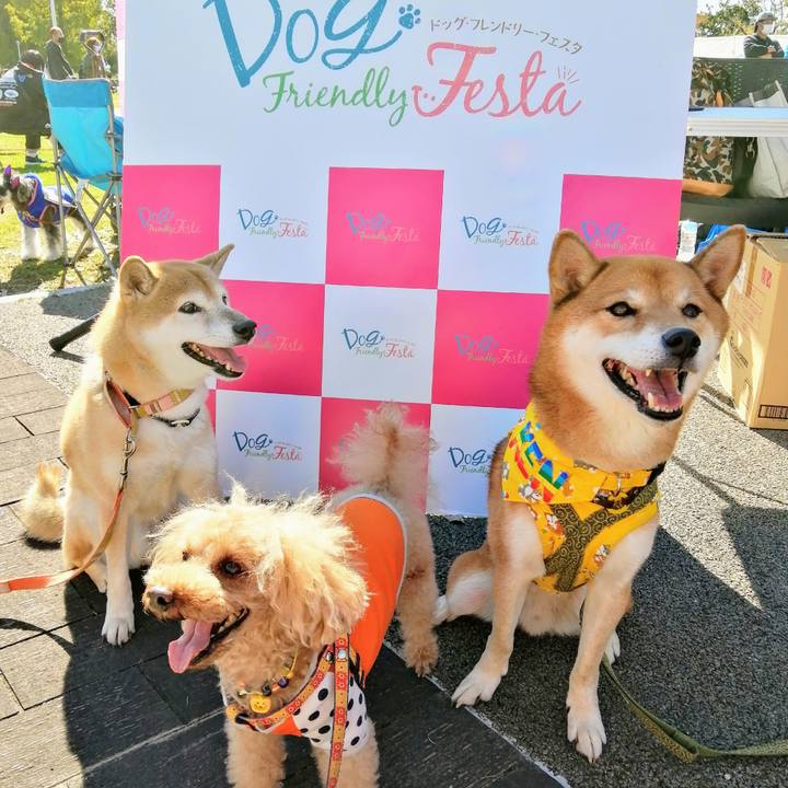 C0475f53 29f2 40fb 8b5f d91eae90f531 1603616704606