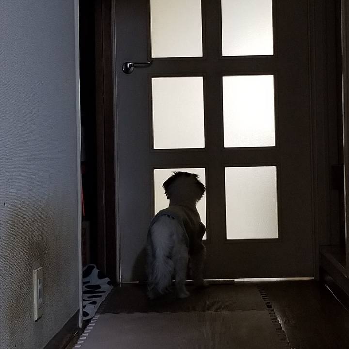 C0476f8f ea5b 4d7a 9757 25be474b4243 1612601379652