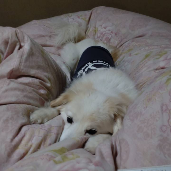 C0477022 ab92 43cc a857 df940c184687 1643921858805