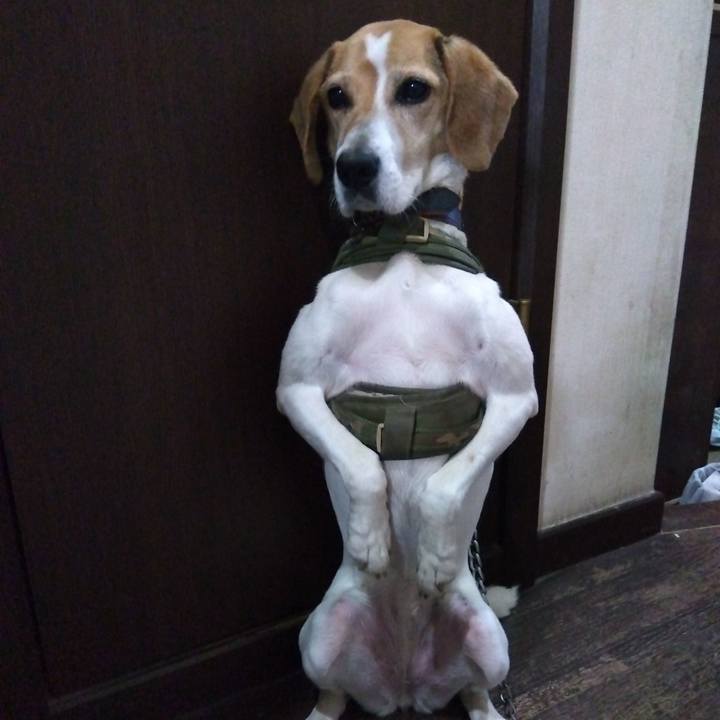 C0477a7f 6ae6 4418 8166 29a71f05a79a 1687176964433