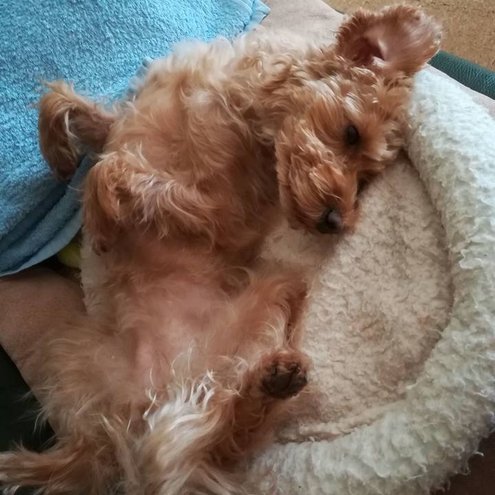 C047b5be 75b0 45de bbb3 90606df19ddc 1544847983577