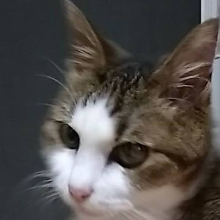 C047be10 ec8f 447a b4ba 3836cb0f2973 1567864048069