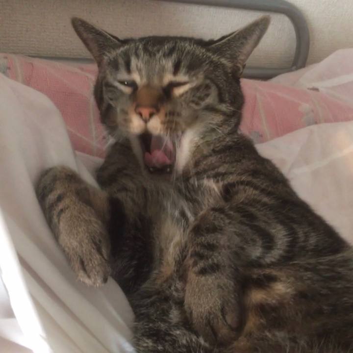 C047bff4 7457 45e1 a006 4cf759b2c75e 1596879328614