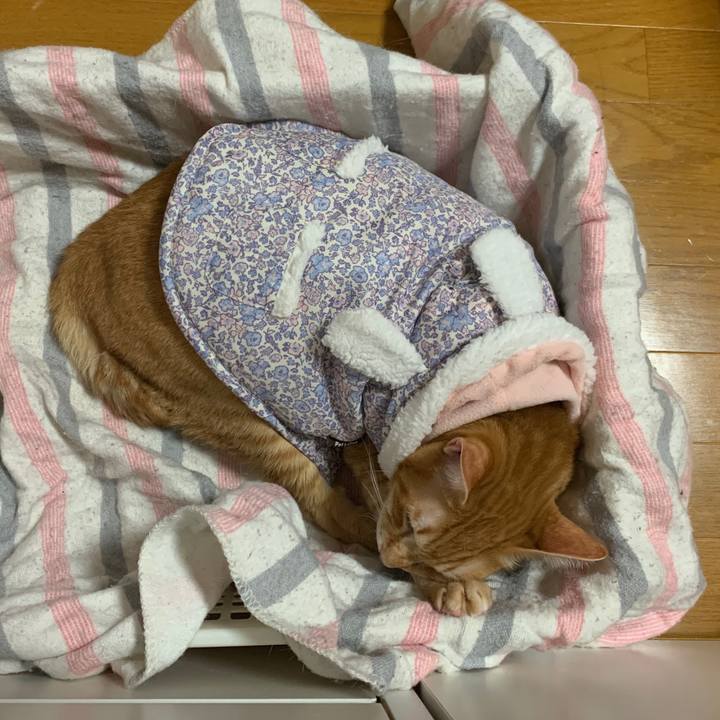 C047fb27 002f 4d6d a1b9 0ed23aa90b32 1580655828019