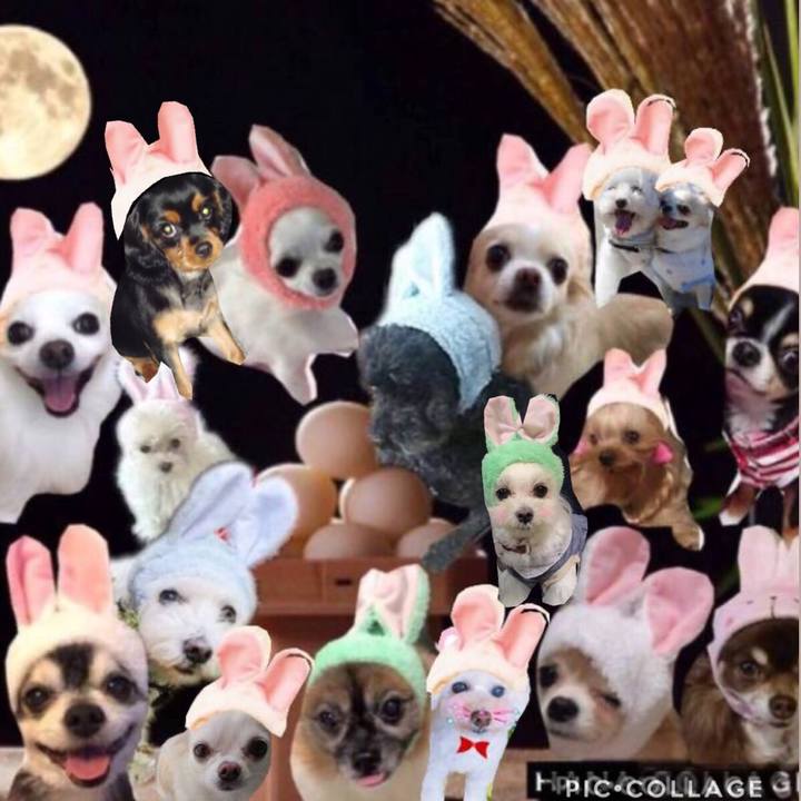 C0480b30 3906 48d3 bd49 396beaed264b 1538636757650