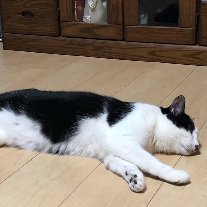 C0485d4e 6cc3 455a a006 28a38660d83a 1556196082315