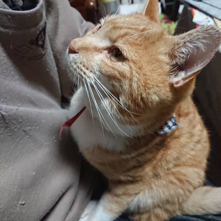 C0489d6c b625 4223 a4c1 40084cb3ce8c 1575097695116