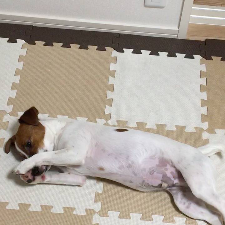 C048ae99 348a 42ed 90ac 0df4026abd28 1524490541088