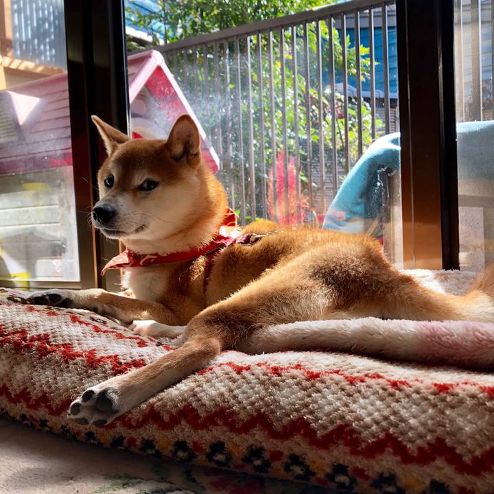 C048b8f4 4508 4f47 a521 36642673e5ca 1542527744116