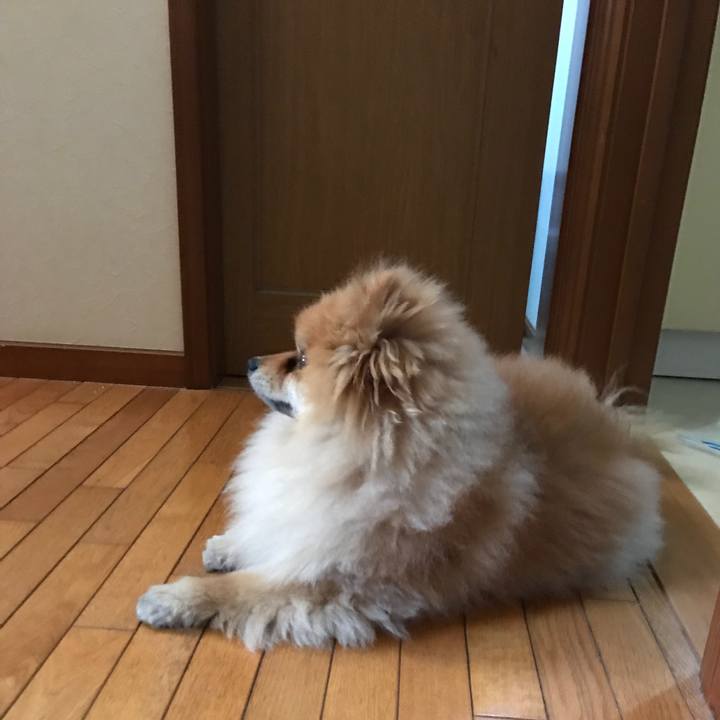 C048ed57 e2ef 4646 ade4 c6cb1fdd7f4b 1525649599892