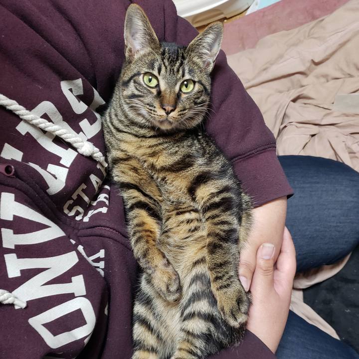 C0491fb8 85ec 43fb ba96 49763ffb03ea 1552787002952