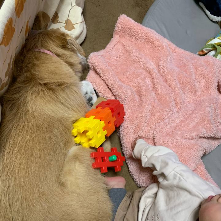 C0495de5 313c 451a a082 fd3280949668 1609764445462