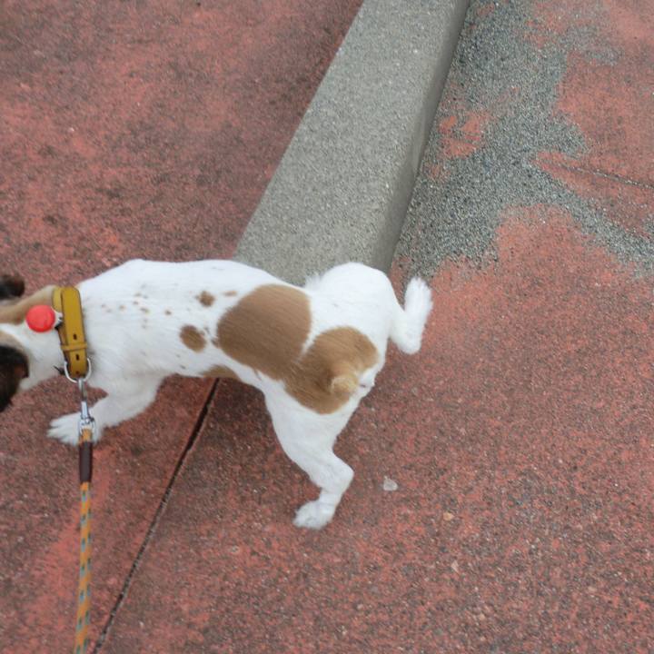 C04972dd 9a3b 475e 9faf 92c642f065a3 1510231857172