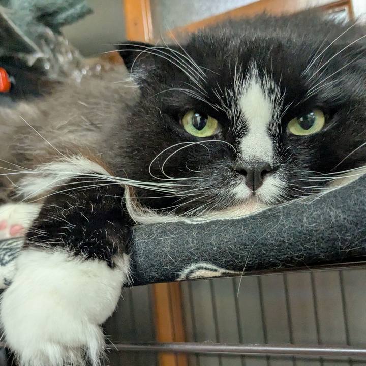 C0498bce b16b 4677 8675 56a84c22ab3a 1761518309260