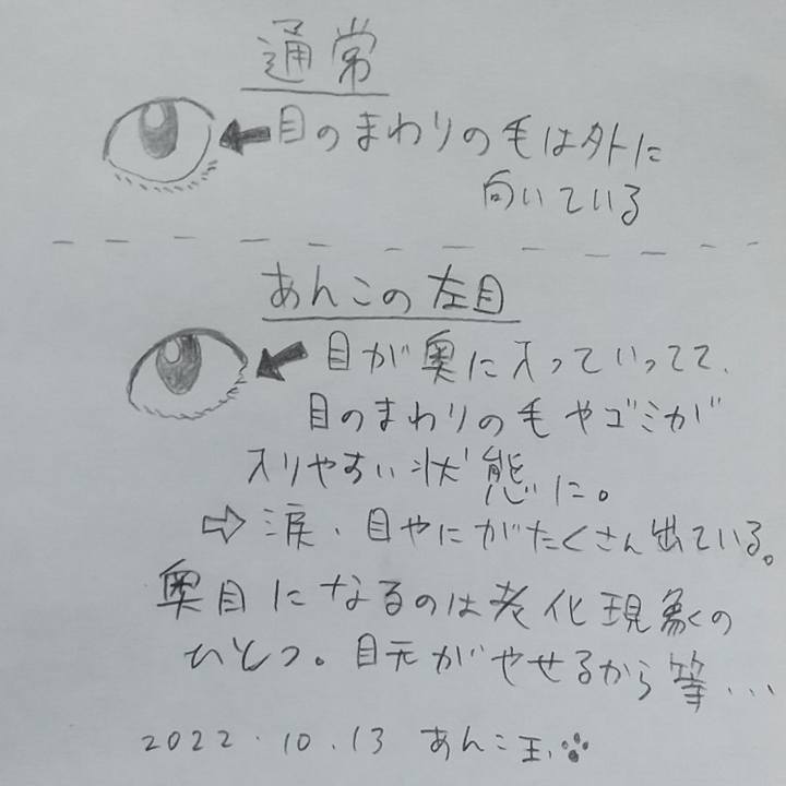 C04a4b68 dc3b 44eb 916b 85d398915295 1665663853922