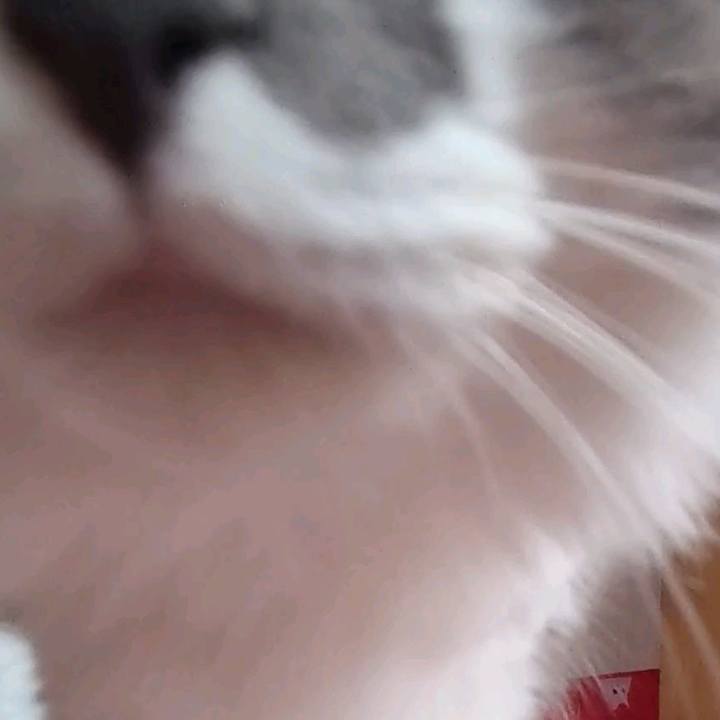 C04a664a 6ecb 491f af3b 2526041a3f3d 1696671011706