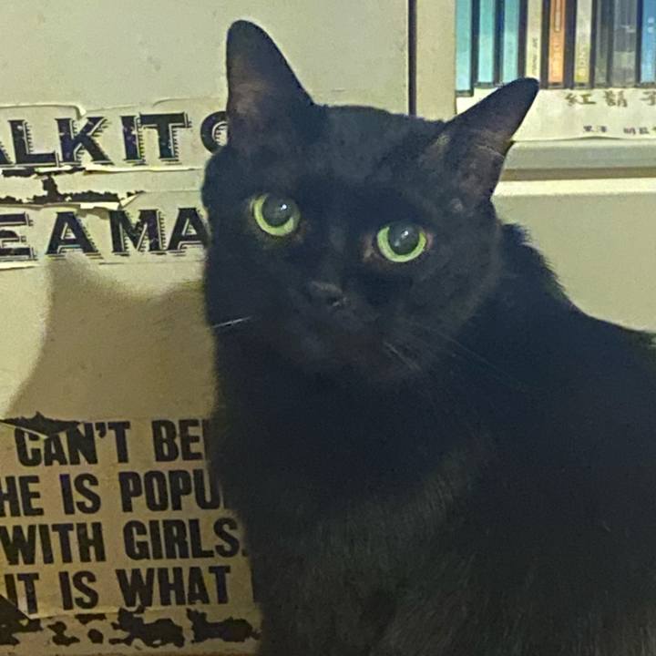 C04a6906 fb11 4d25 8c1d 304a3f934104 1731163625856