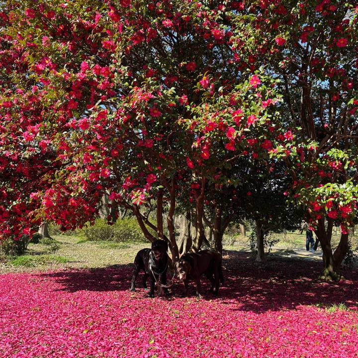 C04a909c 2e88 486f 909d ac189928b996 1772365710416