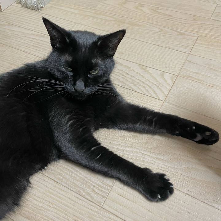 C04acf32 6403 4a9f b2af b6d7d398d86b 1640440501559