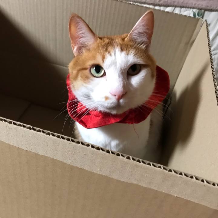 C04af936 b327 4bca a2f0 24bb7abfde6e 1625228283632