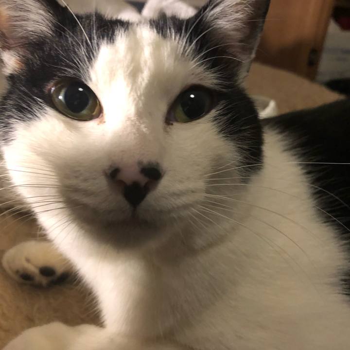 C04b0842 a114 446e a34a eb7a498833e6 1547570388294